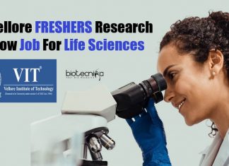 VIT Vellore FRESHERS Jobs