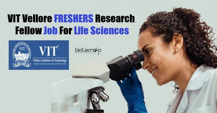 VIT Vellore FRESHERS Jobs