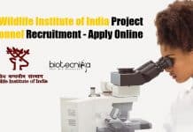 Govt Wildlife Institute of India Project Personnel Recruitment – Apply Online WII Project Personnel