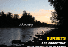 Biotecnika Times – Newsletter 28.01.2021 – Govt Silk Board Recruitment, Siemens Hiring, Women