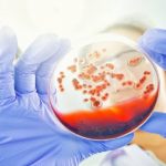 Amity Institute of Microbial