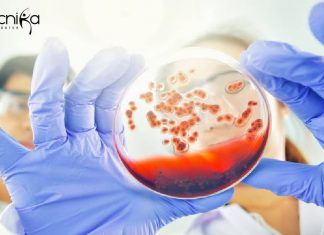 Amity Institute of Microbial Technology Life Sciences JRF Job Amity Institute of Microbial