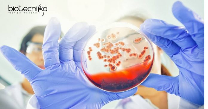 Amity Institute of Microbial