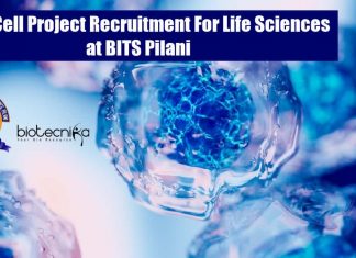 Stem Cell Project Recruitment For Life Sciences at BITS Pilani BITS Pilani Life
