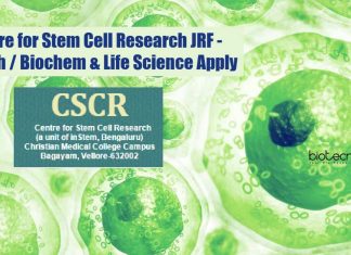 CSCR Jobs 2021
