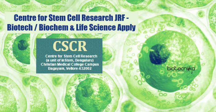 CSCR Jobs 2021