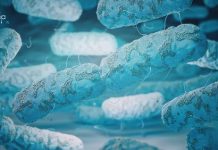 Central University of Rajasthan Life Science Research Fellow Job CUR JRF Life Science