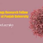 Cancer Biology Research Fellow
