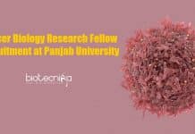 Cancer Biology Research Fellow Recruitment at Panjab University Cancer Biology Research Fellow