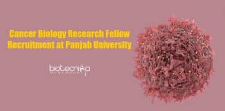 Cancer Biology Research Fellow