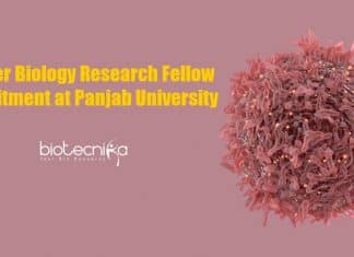 Cancer Biology Research Fellow