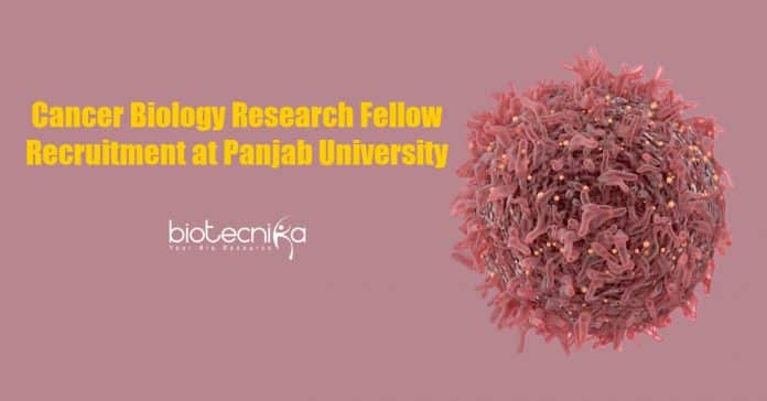 Cancer Biology Research Fellow