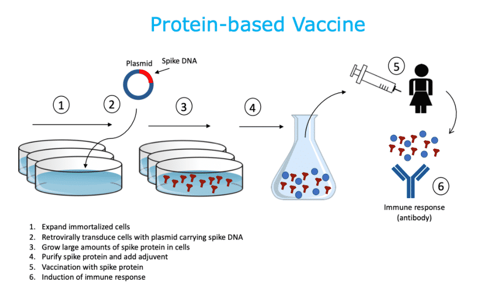Coronavirus vaccines manufactured in India