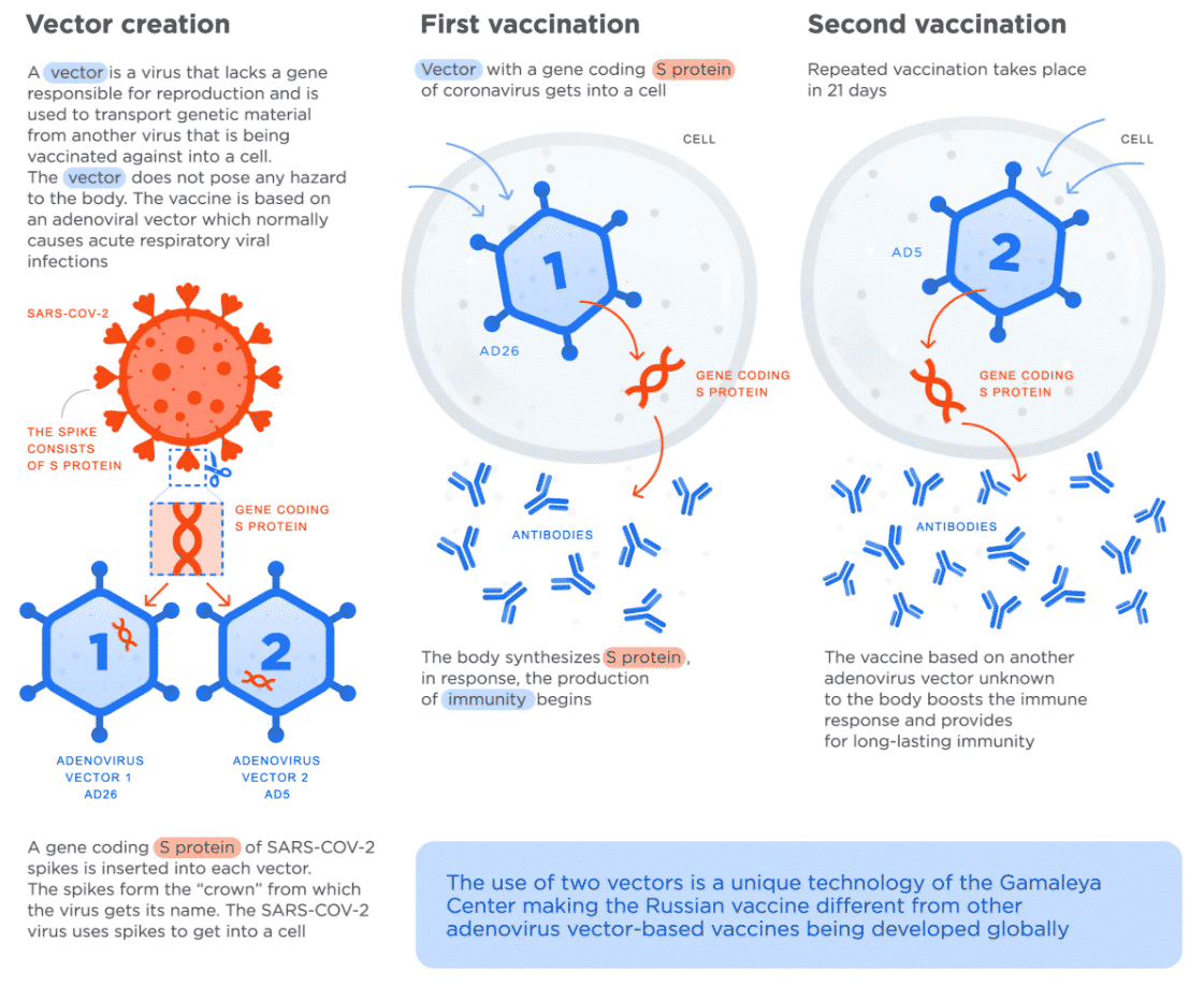 Coronavirus vaccines manufactured in India