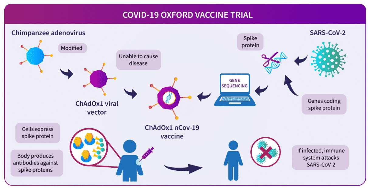 Coronavirus vaccines manufactured in India