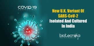 New Variant Of Coronavirus