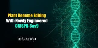 Plant genome editing