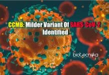 CSIR-CCMB Scientists Find Milder COVID-19 Variant – Not A New Mutation Milder COVID-19 variant