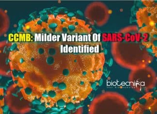 CSIR-CCMB Scientists Find Milder COVID-19 Variant – Not A New Mutation Milder COVID-19 variant