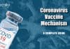 Coronavirus Vaccine Mechanism Explained – A Complete Guide Coronavirus Vaccine Mechanism
