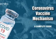 Coronavirus Vaccine Mechanism Explained – A Complete Guide Coronavirus Vaccine Mechanism