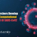 First-Computational-Model-for-Coronavirus