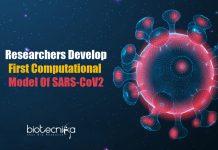 Coronavirus Breakthrough: First Computational Model By Researchers First-Computational-Model-for-Coronavirus