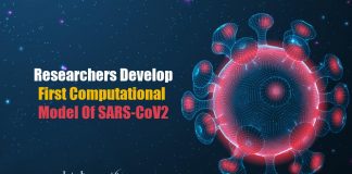 First-Computational-Model-for-Coronavirus