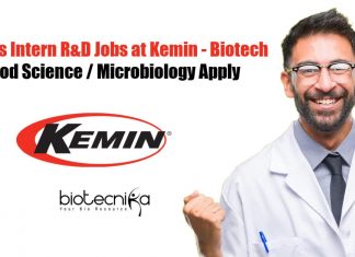Freshers Intern R&D Kemin
