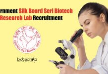 Government Silk Board Seri Biotech Research Lab Recruitment Government Silk Board