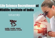 Govt Life Science Recruitment at Wildlife Institute of India Govt Life Science Recruitment