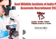 Govt Wildlife Institute of India Project Associate Recruitment 2021 Govt Wildlife Institute