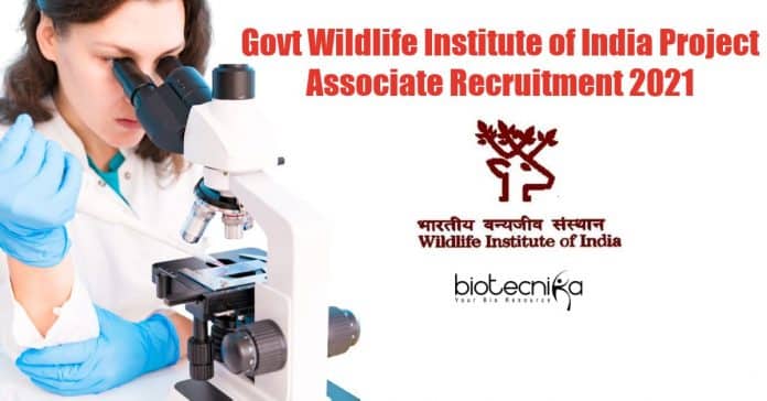 Govt Wildlife Institute