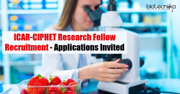 ICAR-CIPHET Research Fellow