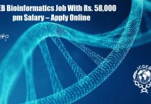 ICGEB Bioinformatics Job