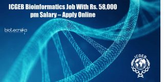 ICGEB Bioinformatics Job