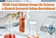 ICGEB Yeast Biofuel Group Life Science & Biotech Research Fellow Recruitment ICGEB Life Science