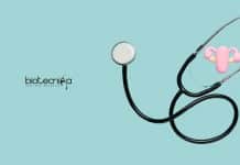 ICMR-NIRRH Genetic Regulation Project Recruitment – Apply Online ICMR-NIRRH Jobs