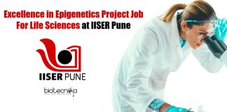 IISER Pune PDF Job