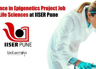 IISER Pune PDF Job