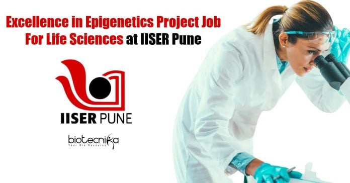 IISER Pune PDF Job