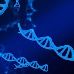 IISER Tirupati Junior Research