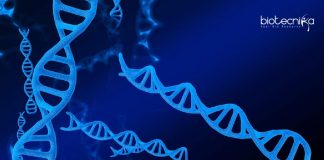 IISER Tirupati Junior Research