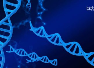 IISER Tirupati Junior Research
