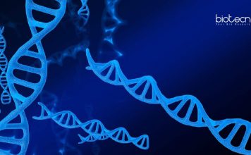 IISER Tirupati Junior Research