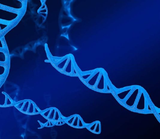 IISER Tirupati Junior Research