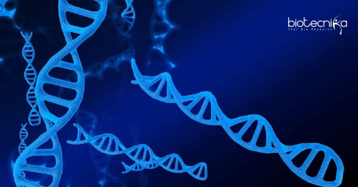 IISER Tirupati Junior Research