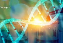 IIT Kanpur Junior Research Fellow Job For Life Sciences IIT Kanpur Junior Research