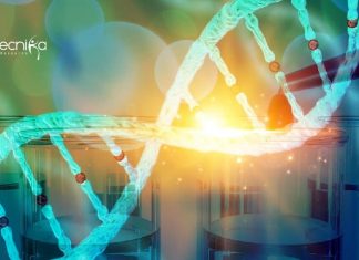 IIT Kanpur Junior Research Fellow Job For Life Sciences IIT Kanpur Junior Research