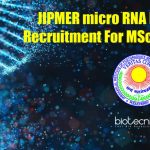 JIPMER SRF Job Vacancy